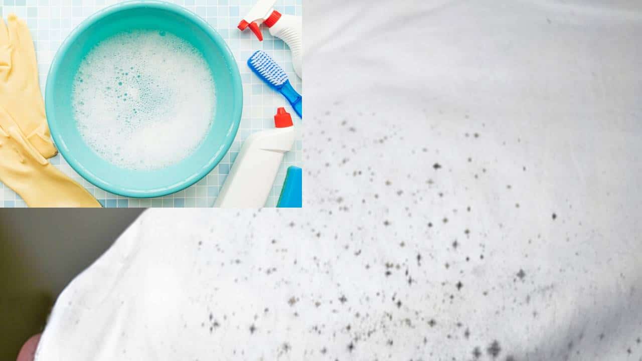 Remover Mofo de Tecidos